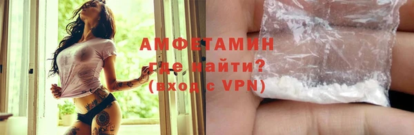 шишки Переславль-Залесский