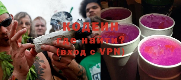шишки Переславль-Залесский