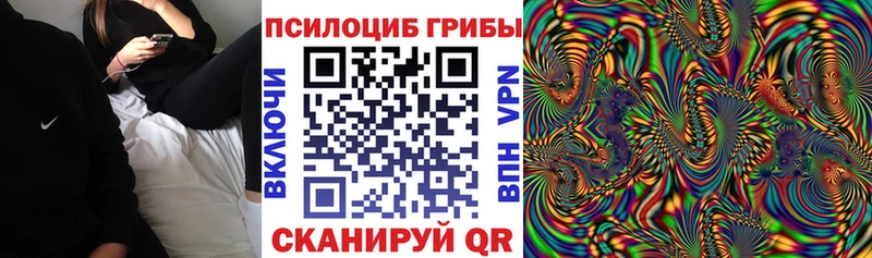 Псилоцибиновые грибы мицелий  купить   Козьмодемьянск 